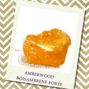 AMBERWOOD BOISAMBRENE FORTE, 10 мл