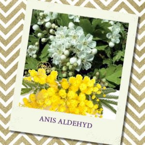 ANIS ALDEHYDE, 5 мл