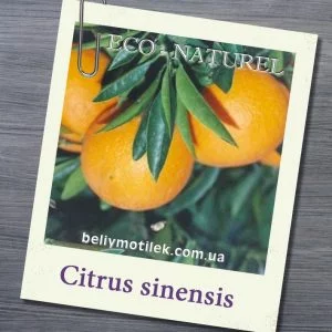 АПЕЛЬСИНА сладкого эфирное масло (Сitrus sinensis L.), Франция, 10 мл