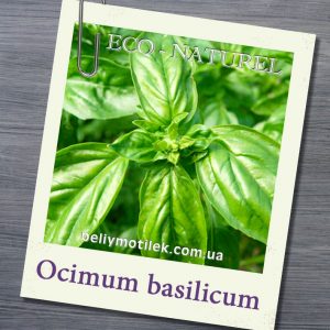 БАЗИЛИКА эфирное масло (НЕ Basilic), Франция, 5 мл