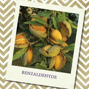 BENZALDEHYDE, 5 мл