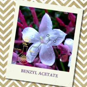 BENZYL ACETATE, 10 мл