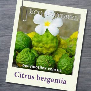 БЕРГАМОТ эфирное масло (Citrus bergamia), Франция, 10 мл