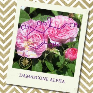 DAMASCONE ALPHA, 5 мл