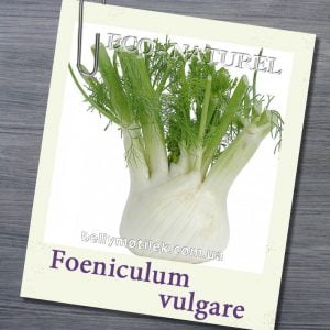 ФЕНХЕЛЬ ефірна олія (Foeniculum vulgare), Франція,10 мл