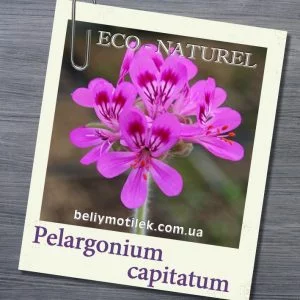 ГЕРАНИ БУРБОН эфирное масло (Pelargonium capitatum), Реюньон, 5 мл