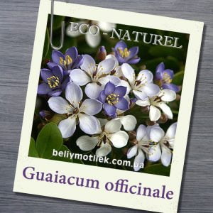 ГВАЯКОВОГО ДЕРЕВА эфирное масло (Guaiac Wood), Парагвай, 5 г