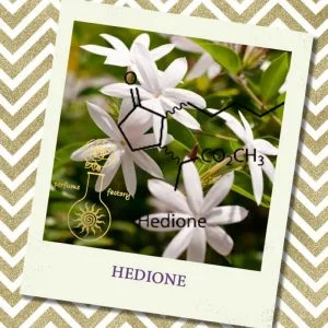 HEDIONE, 10 мл