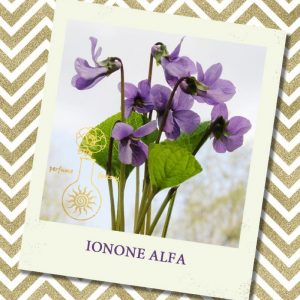 IONONE ALPHA, 5 мл