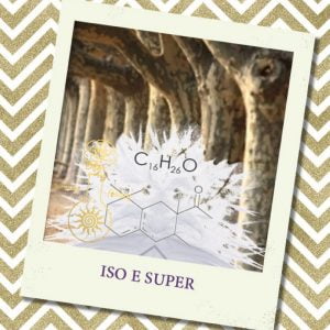 ISO E SUPER, 10 мл