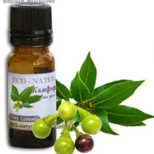 КАМФОРНОГО ДЕРЕВА эфирное масло белое (Cinnamomum White Camfora), 10 мл