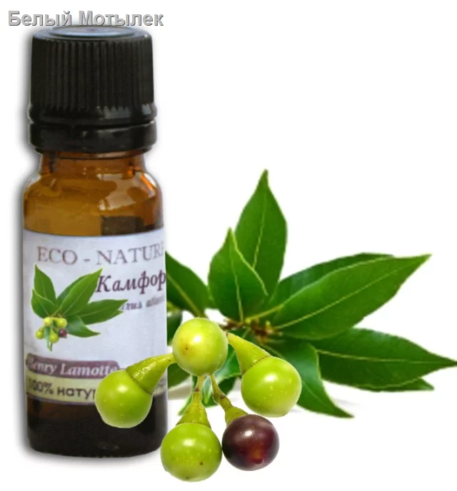 КАМФОРНОГО ДЕРЕВА эфирное масло белое (Cinnamomum White Camfora), 10 мл