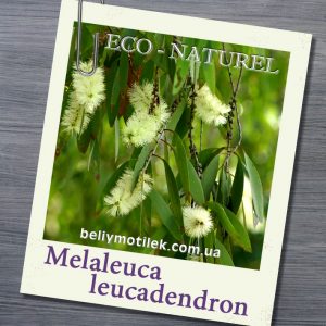 КАЯПУТА эфирное масло (Melaleuca leucadendron), Франция, 10 мл