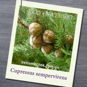 КИПАРИСА эфирное масло (Cupressus sempervirens), Франция, 10 мл