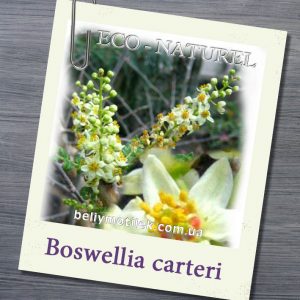 эфирное масло ладана