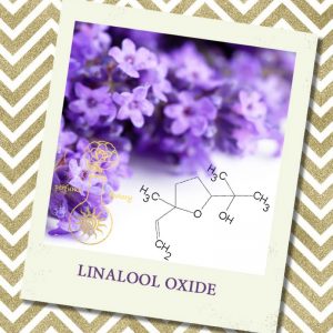 LINALOOL OXIDE, 5 мл