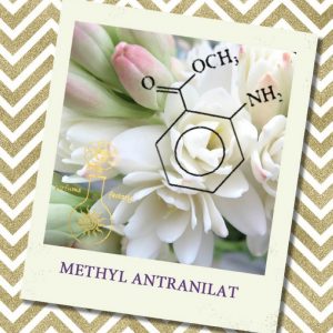 METHYL ANTHRANILATE, 5 мл