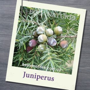 МОЖЖЕВЕЛОВОЕ эфирное масло (Juniperus), Франция, 10 мл