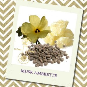 MUSK AMBRETTE  5 гр