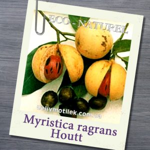 МУСКАТНОГО ОРЕХА эфирное масло (Myristica ragrans Houtt), Франция, 5 мл