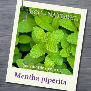МЯТЫ ПЕРЕЧНОЙ эфирное масло (Mentha piperita L.), ФРАНЦИЯ, 10 мл