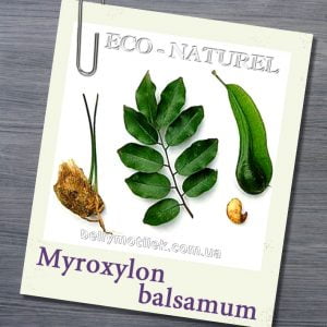 БАЛЬЗАМ ПЕРУАНСКИЙ эфирное масло (Myroxylon balsamum), Эль Сальвадор, 3 гр