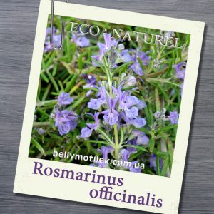 Эфирное масло Розмарина