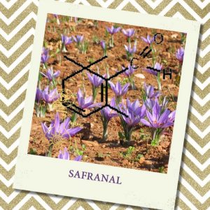 SAFRANAL, 1 мл