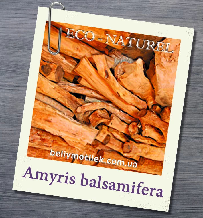 эфирное масло сантала