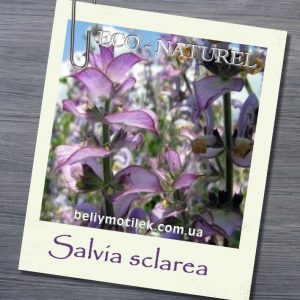 Эфирное масло шалфея