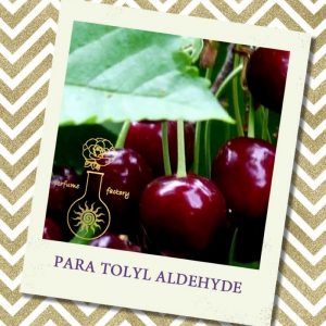 PARA TOLYL ALDEHYDE, 5 мл