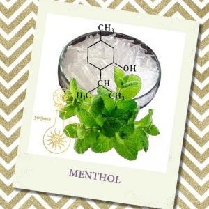Ментол