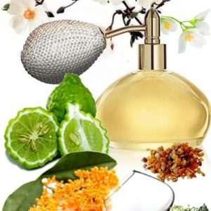 METHYL HEPTIN CARBONATE, 5 мл