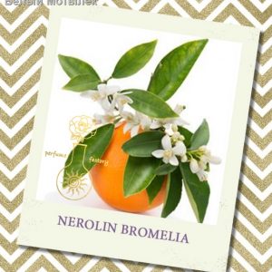 NEROLIN BROMELIA, 2 гр
