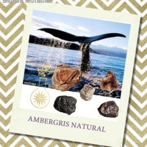 AMBERGRIS NATURAL (Китова амбра) 3%, 5 мл