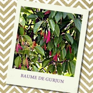 ГУР'ЮНСЬКИЙ БАЛЬЗАМ ефірна олія (Dipterocarpus alatus Roxburgh), Індонезія, 5 мл