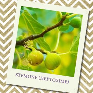 STEMONE (HEPTOXIME), 5 мл