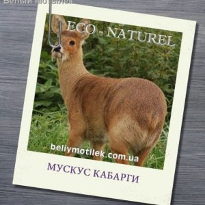 МУСКУС КАБАРГИ, Кувейт, 1 гр