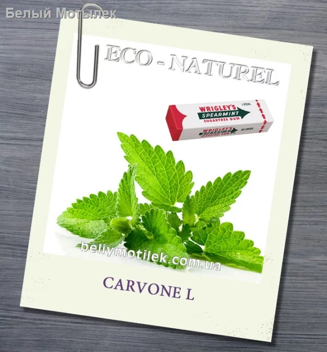 CARVONE L, 5 мл