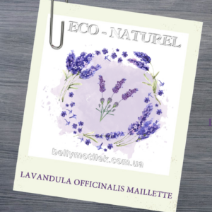 ЛАВАНДА МАЛЕТТ ефірна олія (lavandula officinalis Maillette), ECOCERT високогірний Прованс, 5 мл
