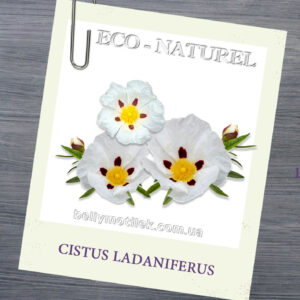 ЛАБДАНУМ абсолю 20% (Cistus ladaniferus), Франція, 5 мл