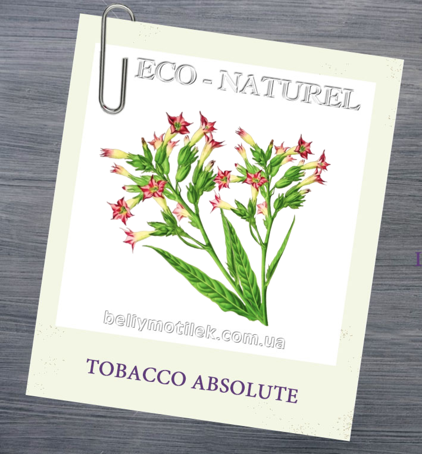 КВІТІВ ТЮТЮНУ абсолю (Nicotiána tabácum), Франція, 1 гр