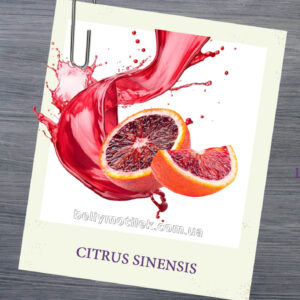 ЧЕРВОНИЙ АПЕЛЬСИН ефірна олія (Citrus sinensis), Франція, 5 мл